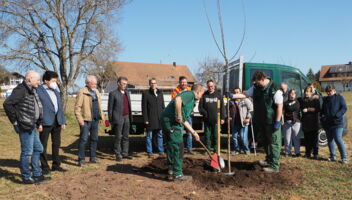 Baum als Zeichen der Vielfalt
